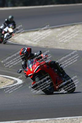 media/Sep-21-2025-TrackDaz (Sun) [[277c75b276]]/C Group/1140pm (Turn 3)/